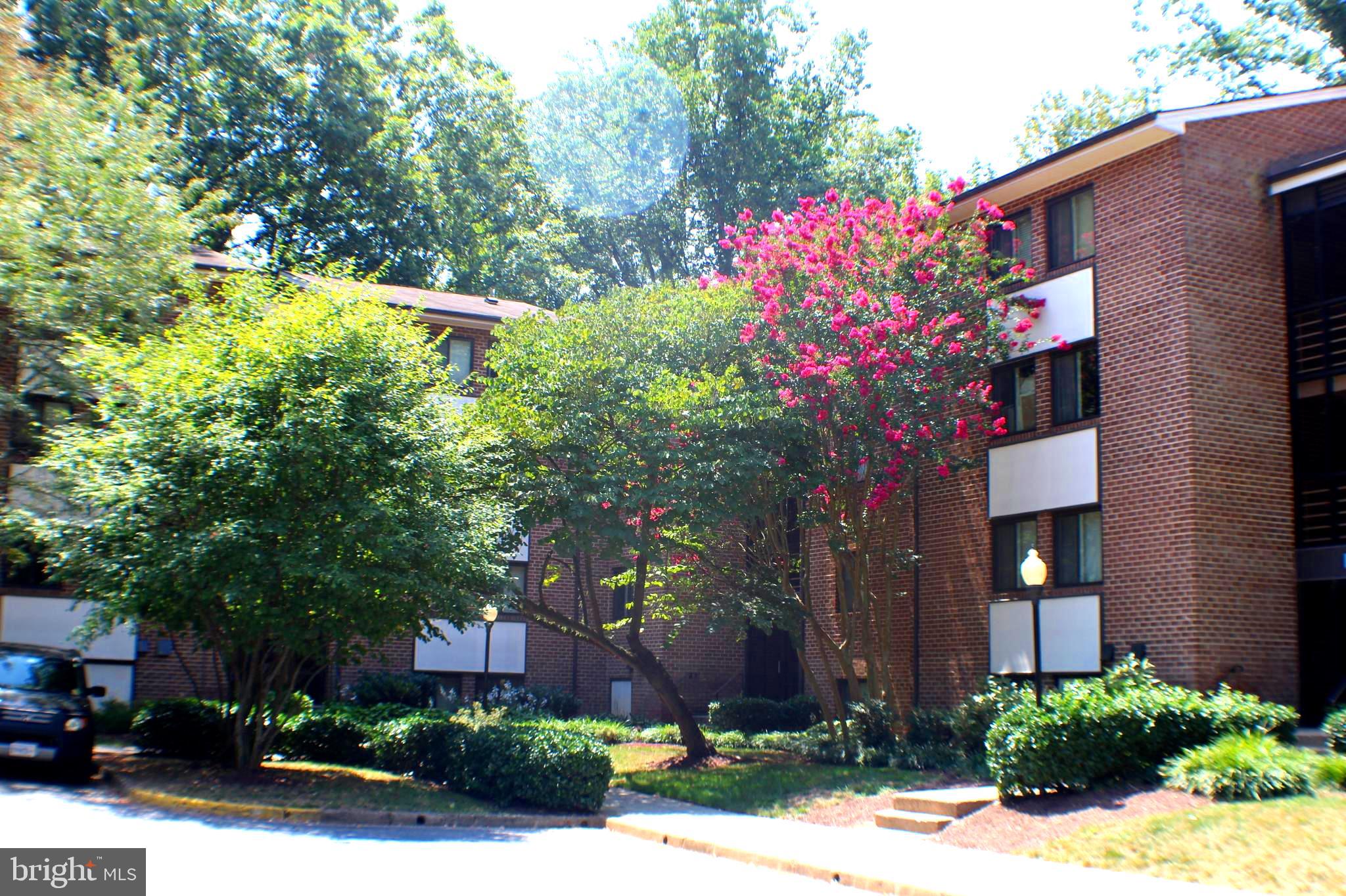 1538 Northgate Square, Unit 11B Reston, VA 20190 - Photo 43 of 43 Gallery Image 43