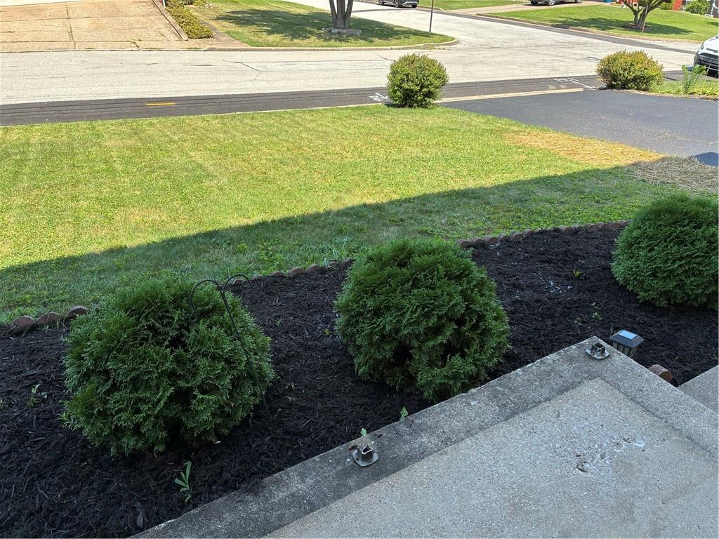 50 Barbara Road Latrobe, PA 15650 - Photo 4 of 48 Front yard