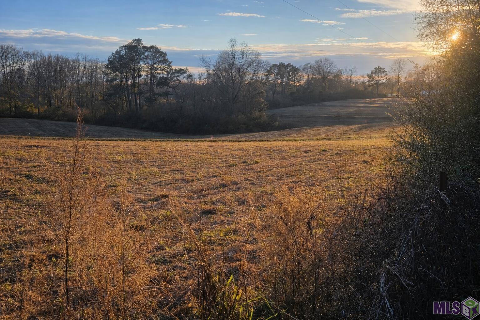 3 R F Ball Road Franklinton, LA 70438 - Photo 18 of 18