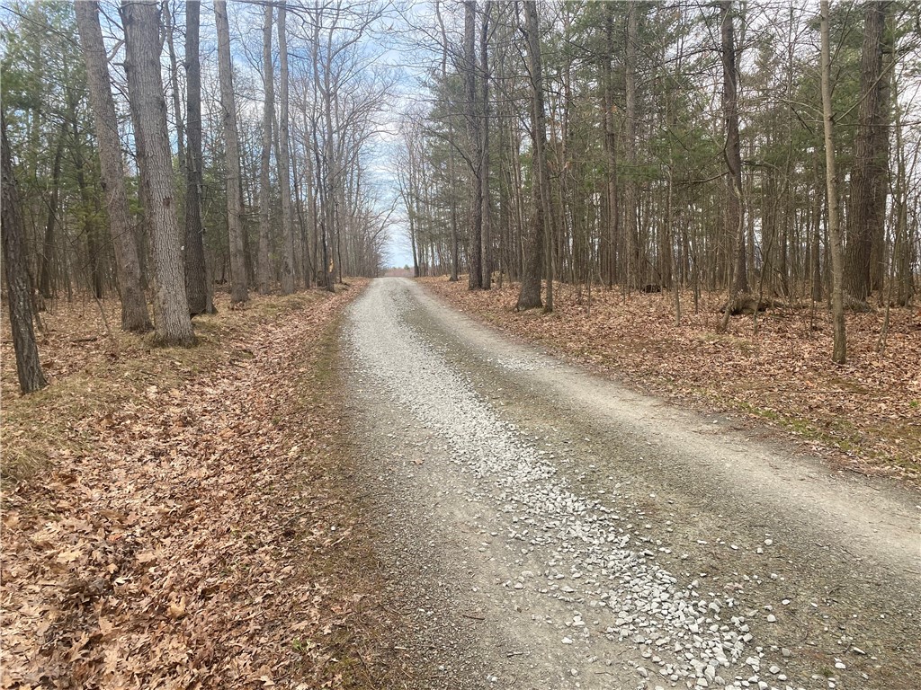 8675 Alderman Road Wayne, NY 14840 - Photo 33 of 46 Entrance