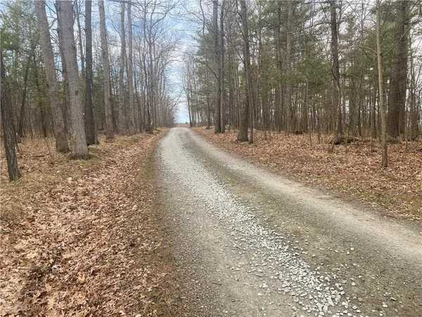$1,250,000 | 8675 Alderman Road, Wayne, NY 14840