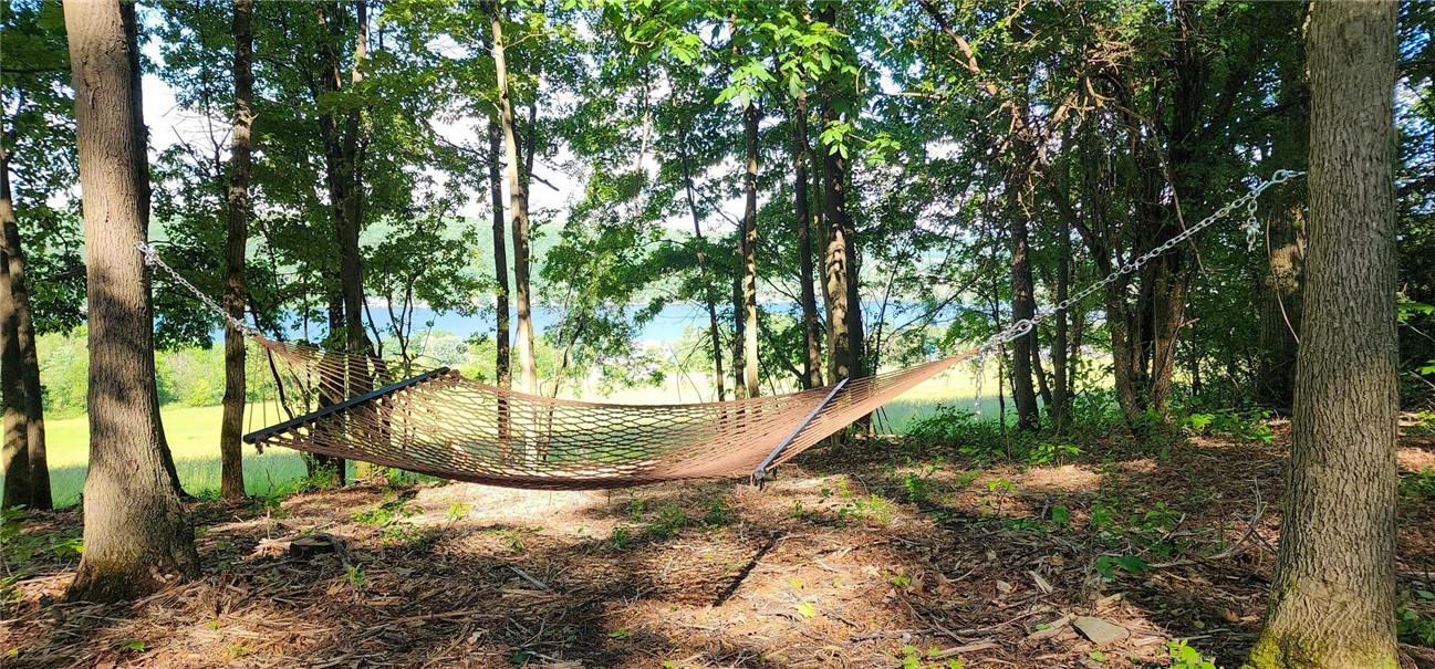 8675 Alderman Road Wayne, NY 14840 - Photo 35 of 46