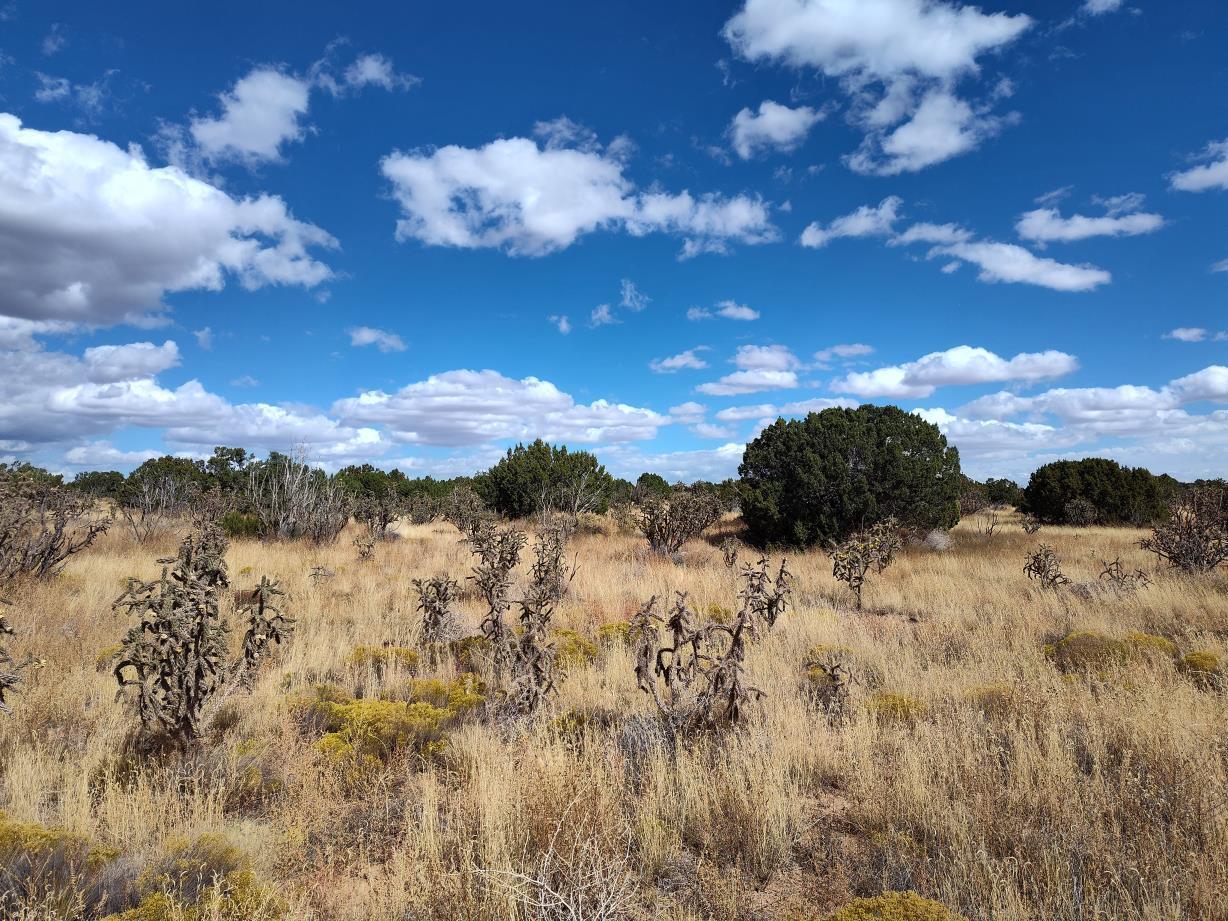 Golf Course Road Mountainair, NM 87036 - Photo 2 of 22 Gallery Image 2