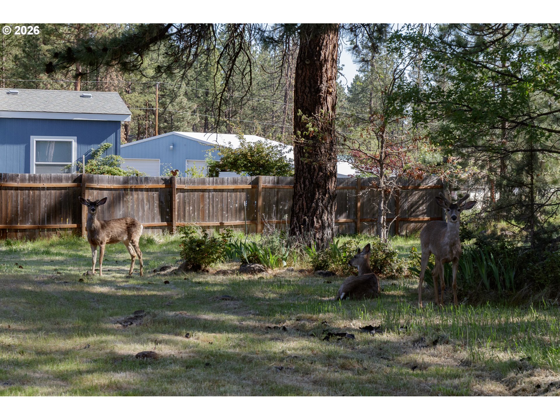 245 South Mike Road Tygh Valley, OR 97063 - Photo 19 of 22 a view of a house with a yard and sitting area
