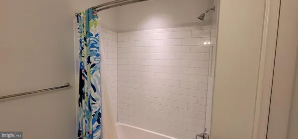 a bathroom with a shower and a plant