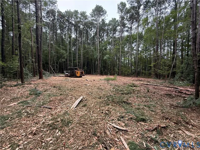 a view of outdoor space with trees
