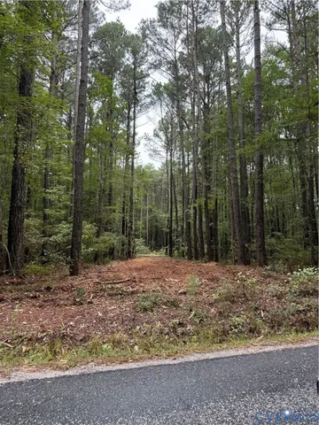 a big yard with trees