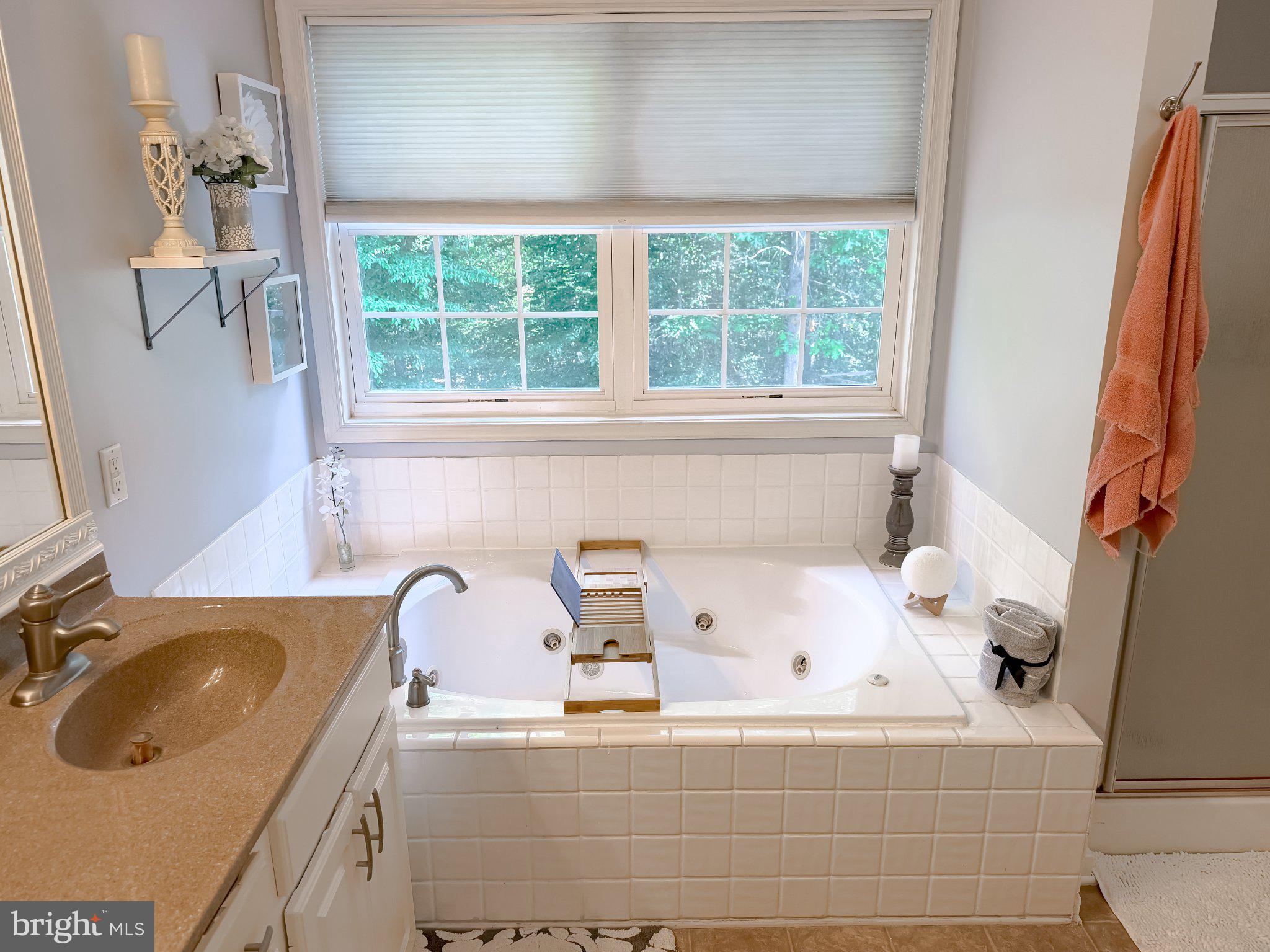 6020 Port Tobacco Road Indian Head, MD 20640 - Photo 9 of 59 Serene spa-like bathroom retreat.