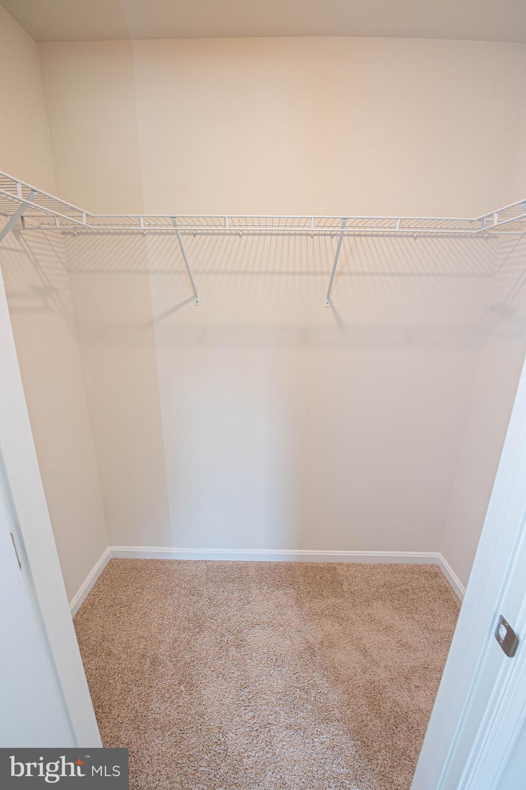 130 Willowtree Lane Fruitland, MD 21826 - Photo 49 of 74 a view of a rack on the wall