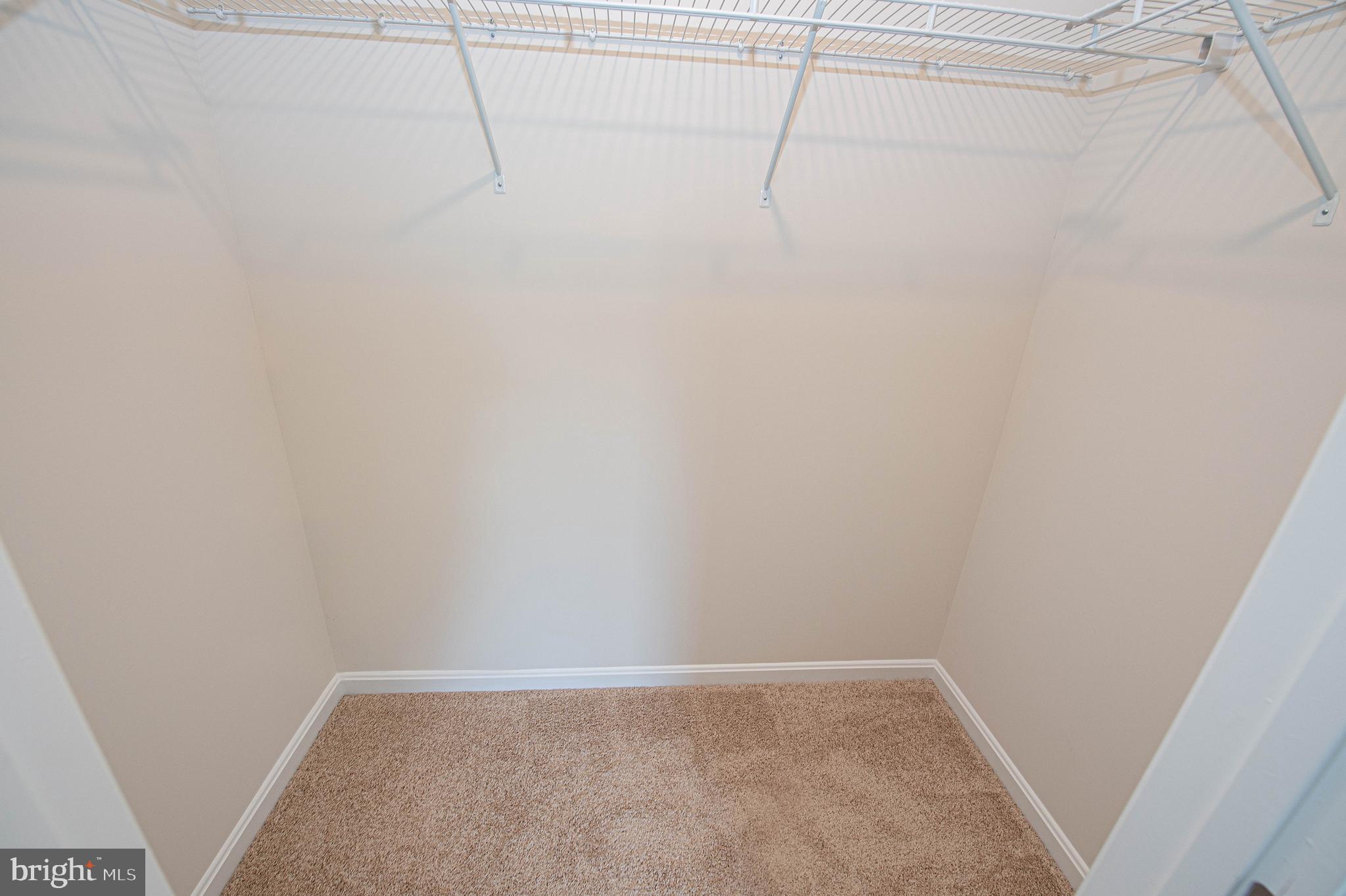 130 Willowtree Lane Fruitland, MD 21826 - Photo 50 of 74 a view of a room with racks on the wall