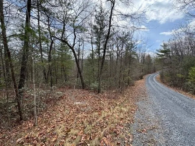 $68,000 | Lot 45 Fetterbush Lane, Hinton, VA 22831