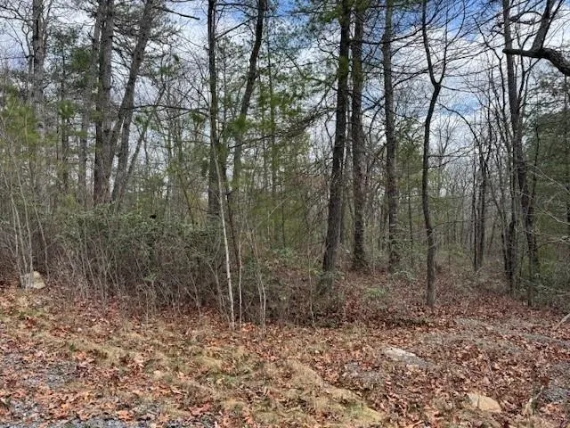 $68,000 | Lot 45 Fetterbush Lane, Hinton, VA 22831