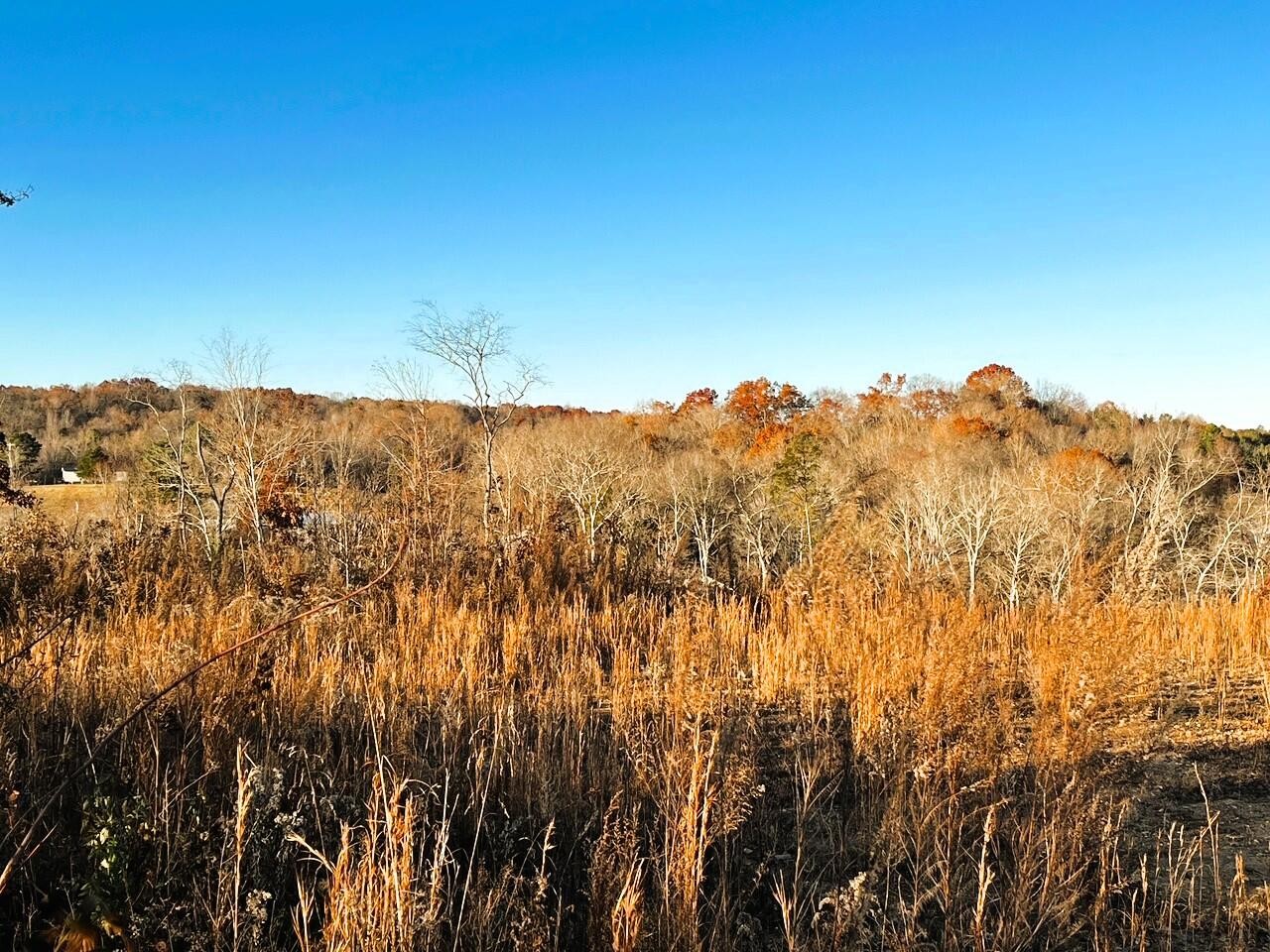 1675 Euchee Road Ten Mile, TN 37880 - Photo 29 of 30