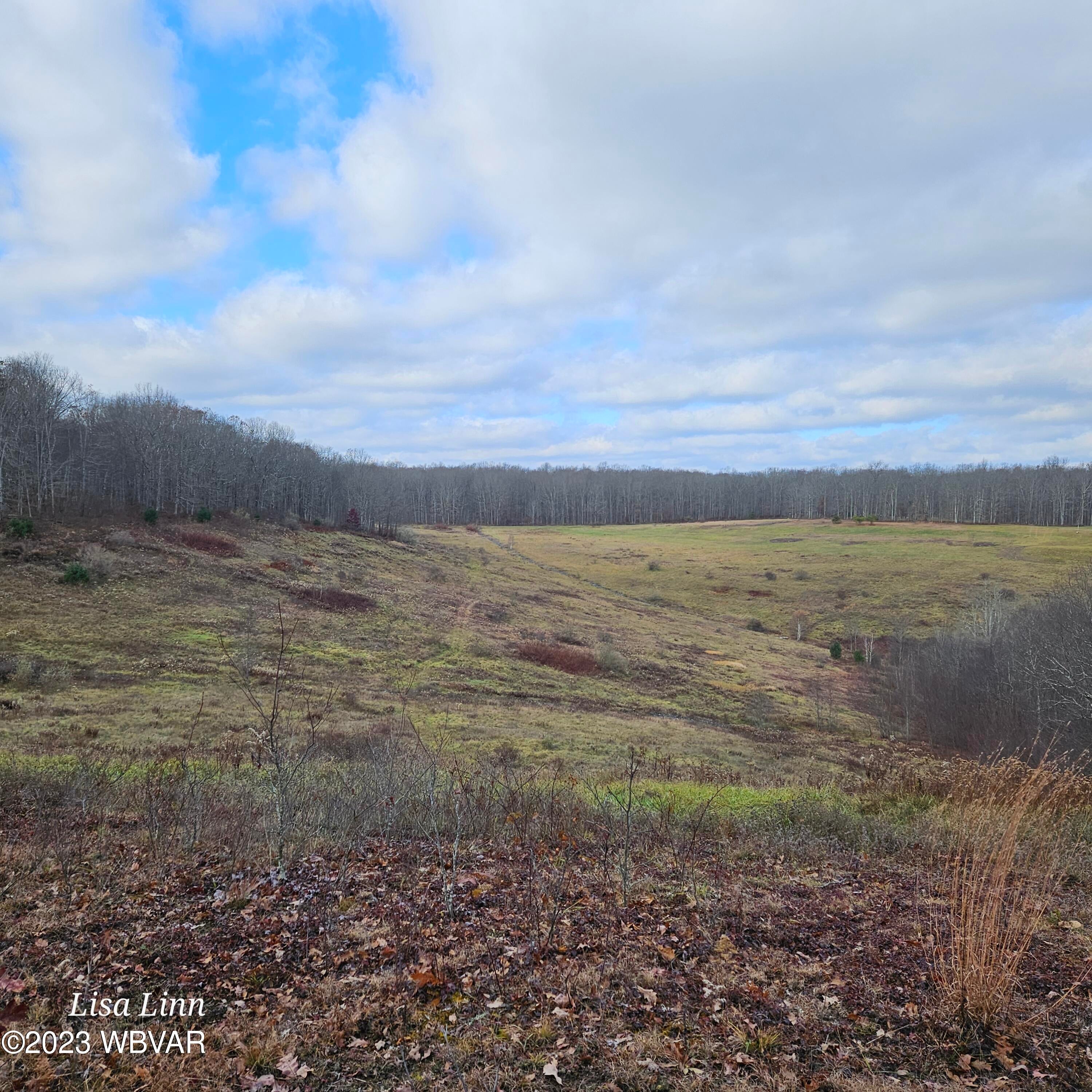 Shintown Road Renovo, PA 17764 - Photo 10 of 16 Gallery Image 10