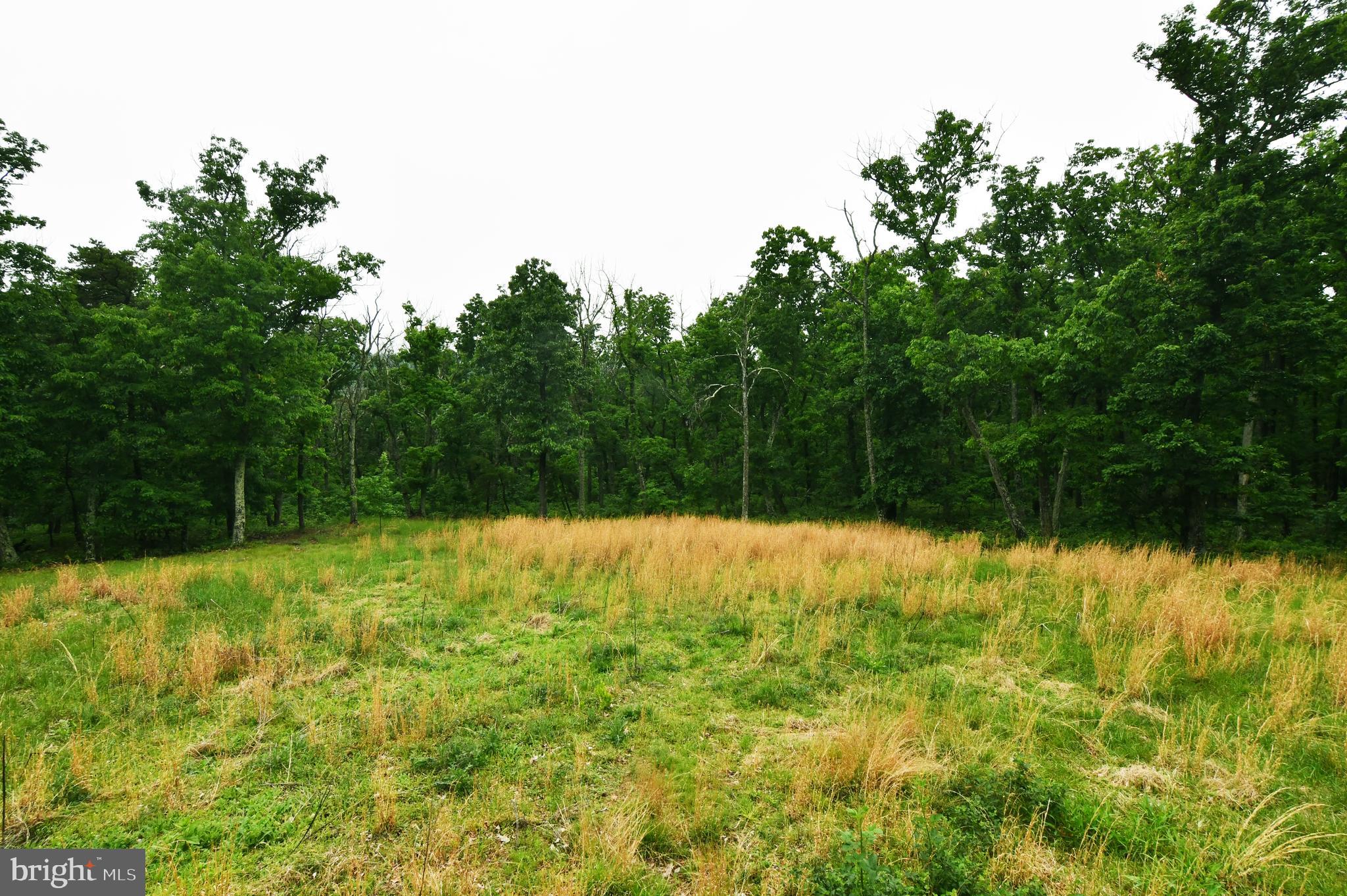 513 Cardinal Drive Rio, WV 26755 - Photo 37 of 55 View from the deck