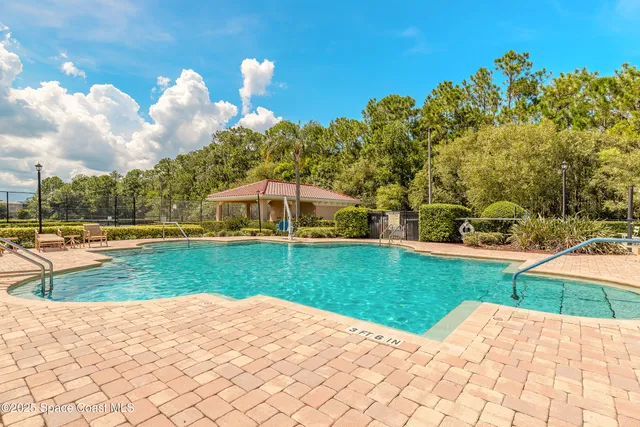 a view of a park with large trees