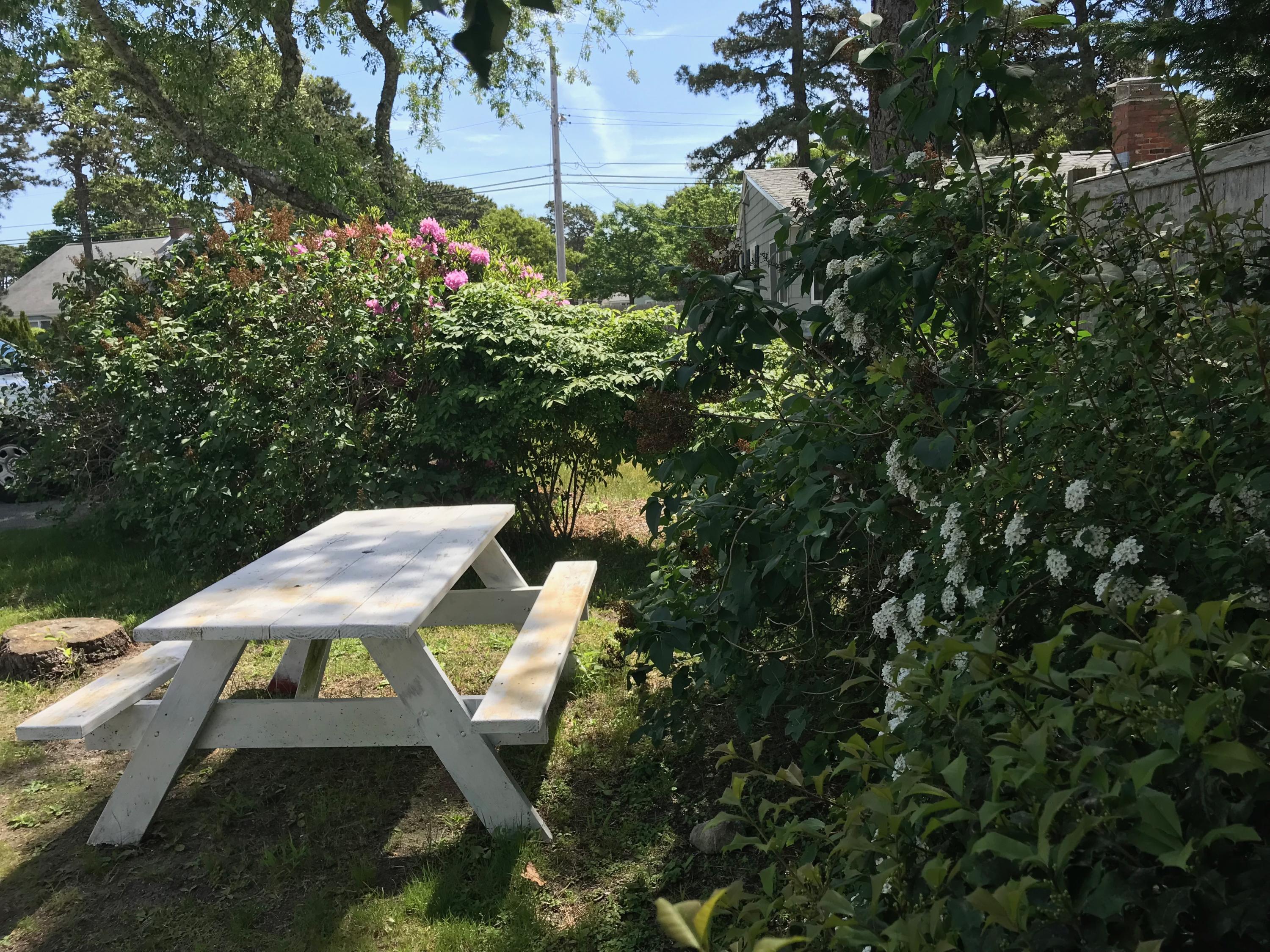 49 Lower County Road, Unit U 7 Dennis Port, MA 02639 - Photo 12 of 23 a view of a yard with plants