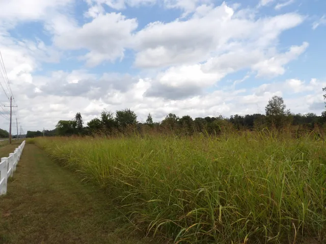 a view of a lake from a yard