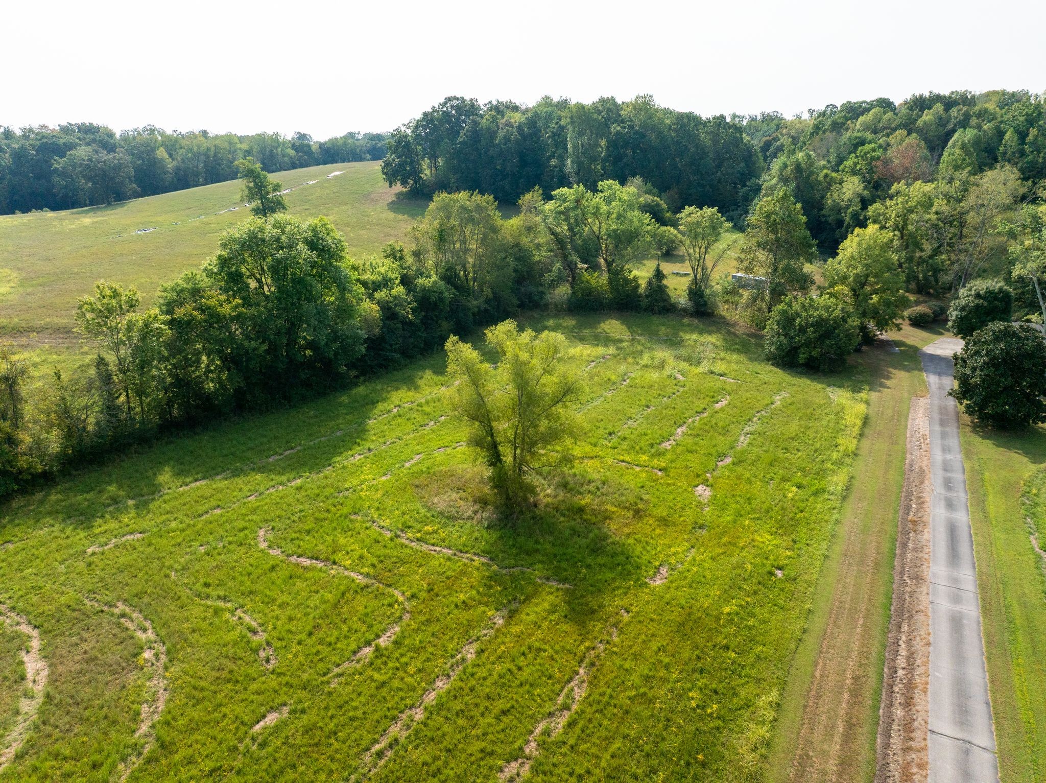 0 Highway 70 East Waverly, TN 37185 - Photo 14 of 28