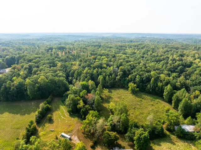 a view of a green yard with large trees