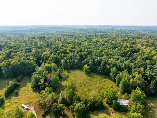 an aerial view of residential houses with outdoor space and trees