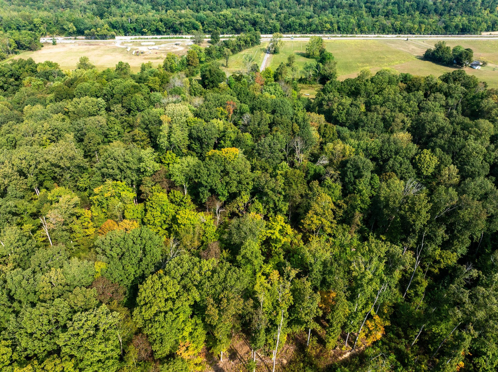 0 Highway 70 East Waverly, TN 37185 - Photo 19 of 28