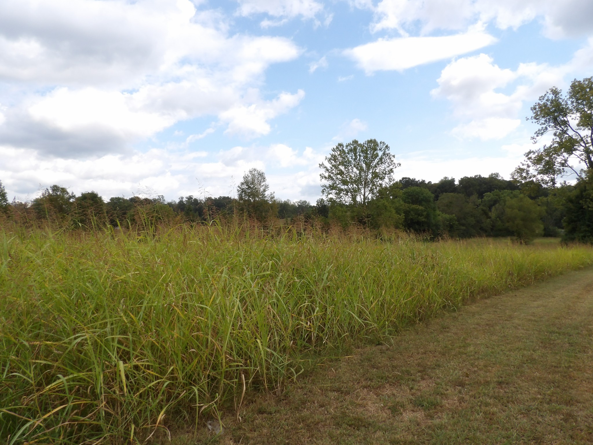 0 Highway 70 East Waverly, TN 37185 - Photo 2 of 28