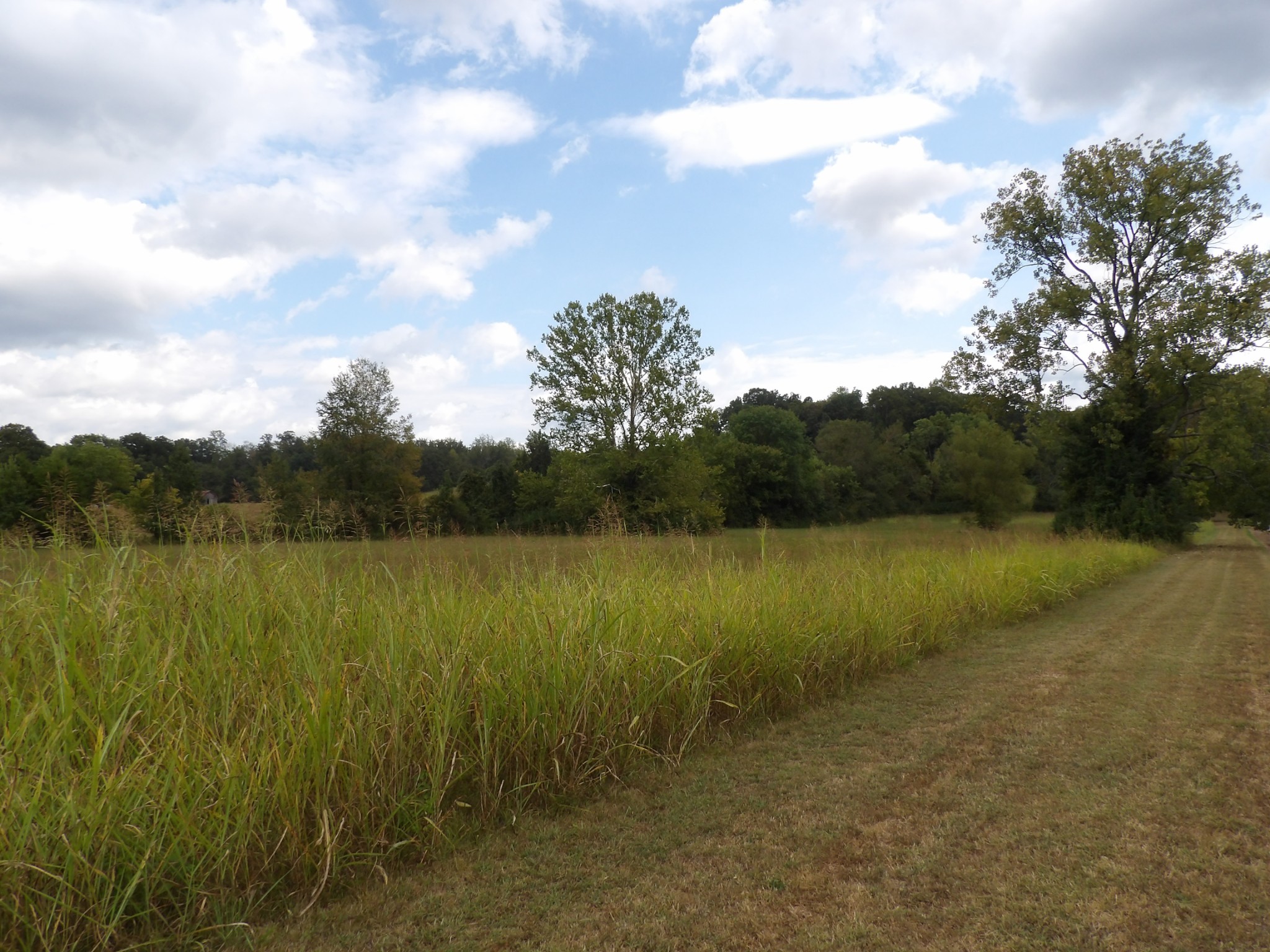 0 Highway 70 East Waverly, TN 37185 - Photo 3 of 28