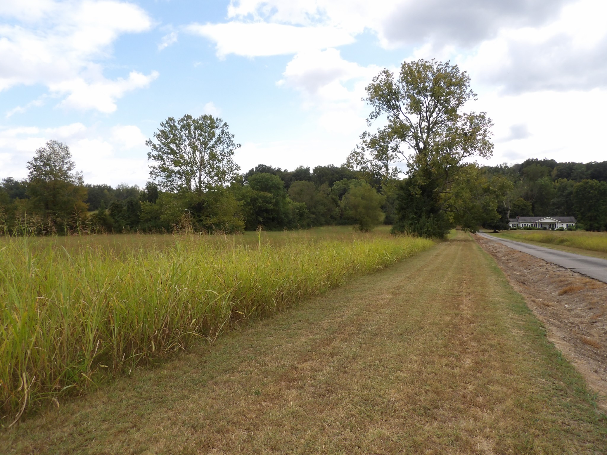 0 Highway 70 East Waverly, TN 37185 - Photo 4 of 28