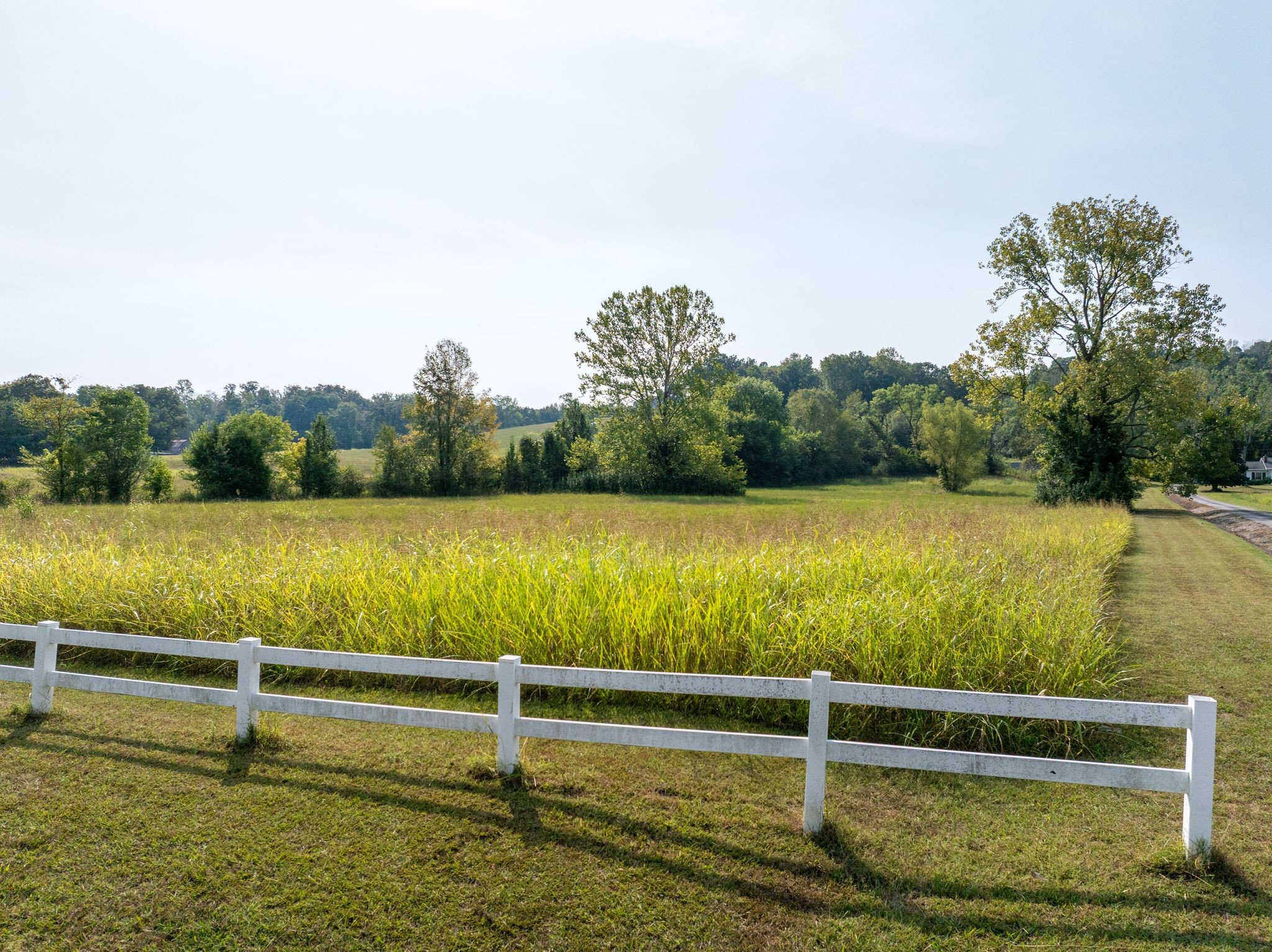 0 Highway 70 East Waverly, TN 37185 - Photo 6 of 28