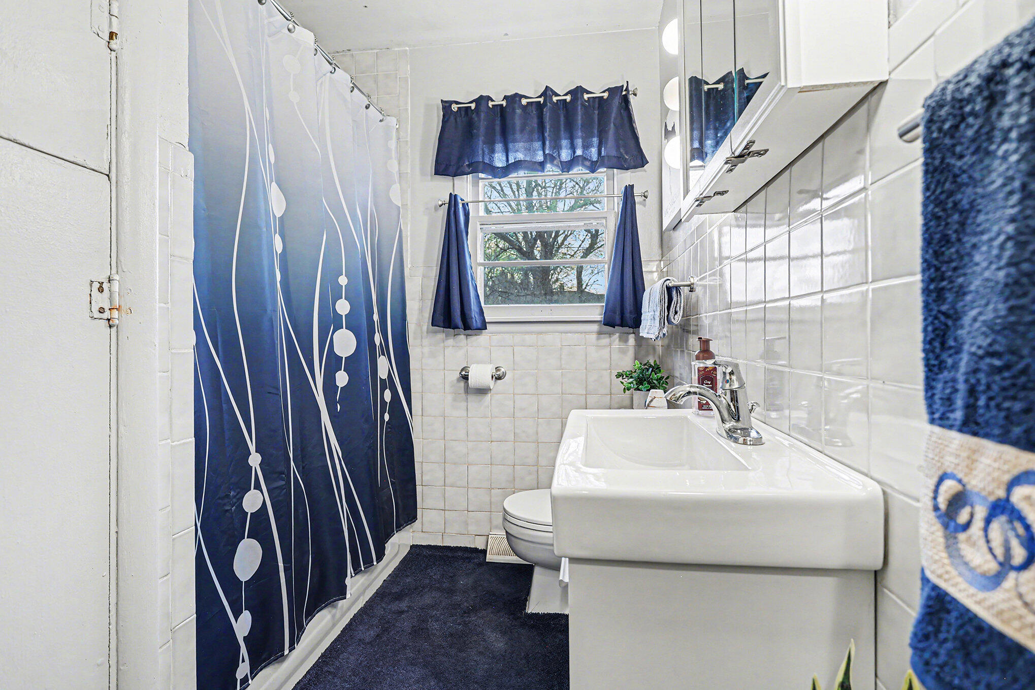 319 Ferguson Road Marshall, MI 49068 - Photo 14 of 25 014_file_260