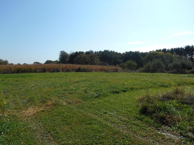 59256 Ash Road Osceola, IN 46561 - Photo 8 of 31 Gallery Image 8