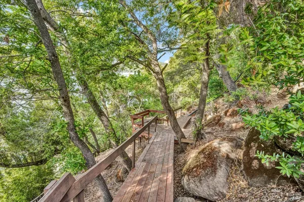 a large tree with wooden fence