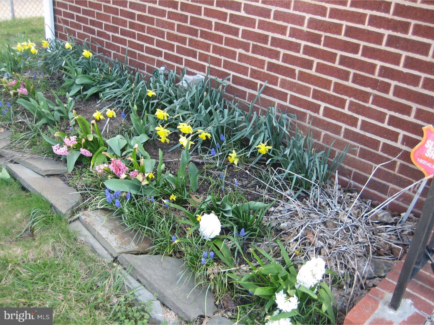 164 Reed Avenue Trenton, NJ 08610 - Photo 14 of 16 Front Yard