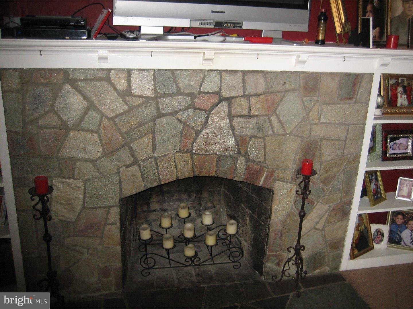 164 Reed Avenue Trenton, NJ 08610 - Photo 9 of 16 Fireplace