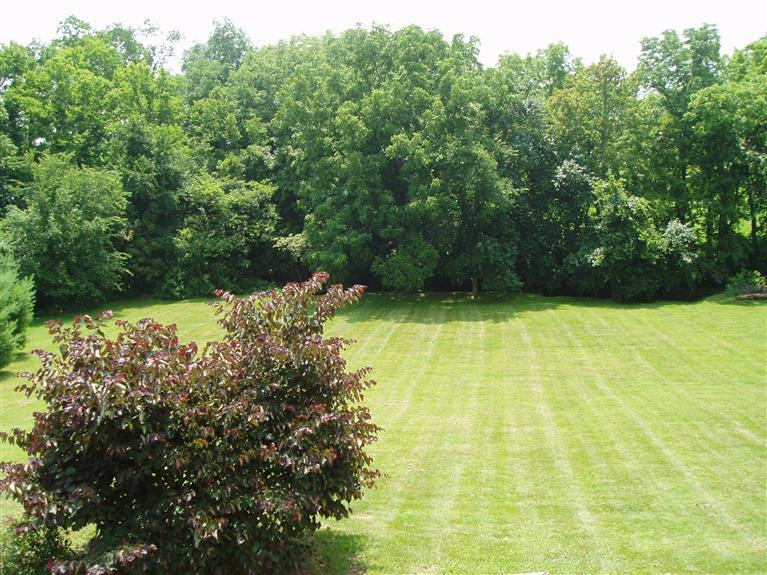 230 Roberts Road Versailles, KY 40383 - Photo 10 of 51 Photo 10