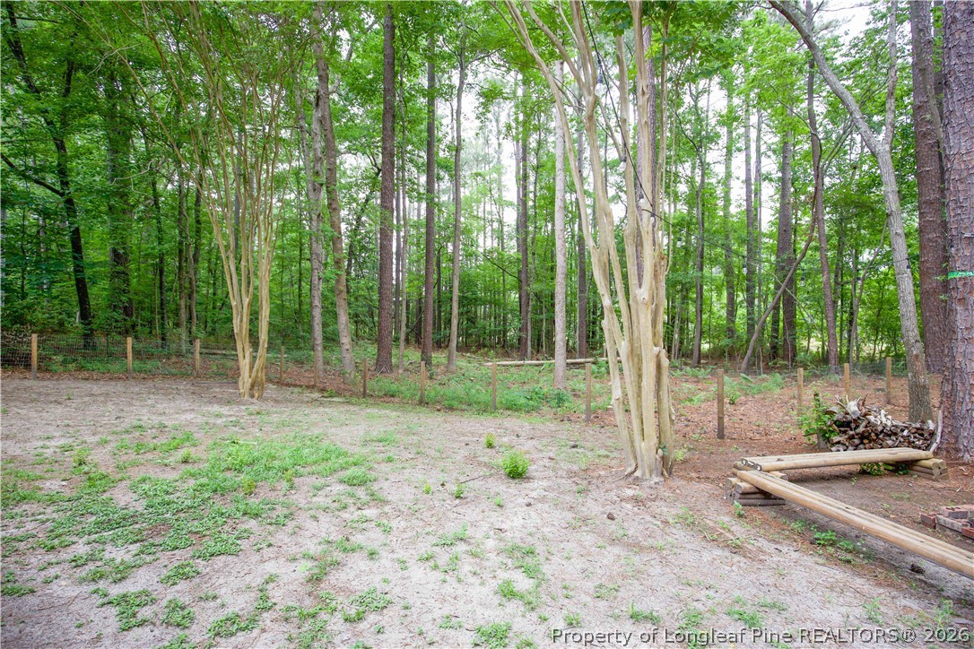 248 Chickory Place Vass, NC 28394 - Photo 49 of 50