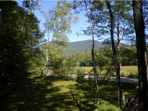 31 Ferncroft Road Albany, NH 03818 - Photo 2 of 15