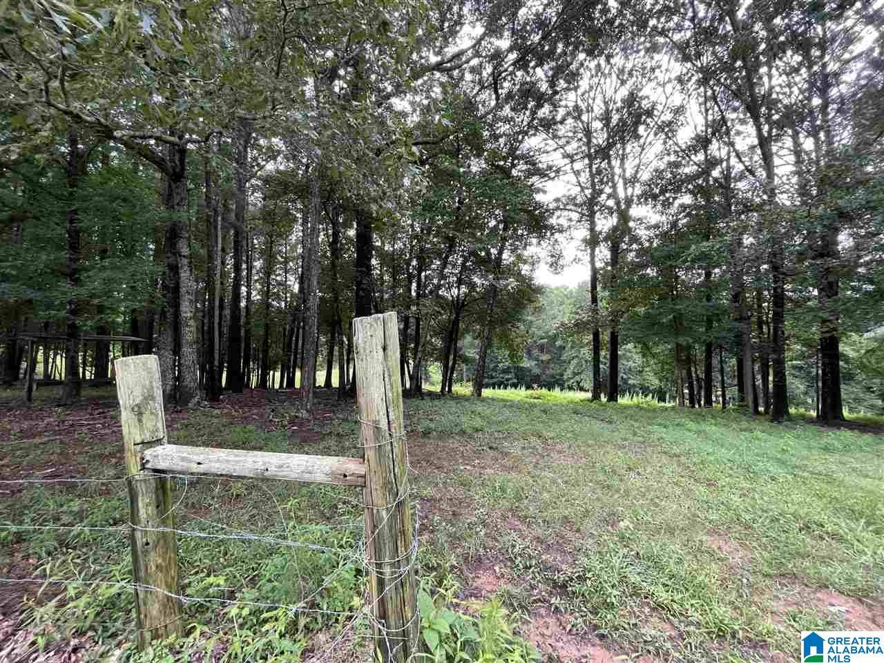 2829 Leander Road Daviston, AL 36256 - Photo 16 of 20