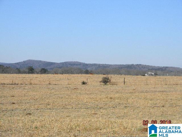 0 Hebb Road, Unit 11 5 Wilsonville, AL 35186 - Photo 2 of 14