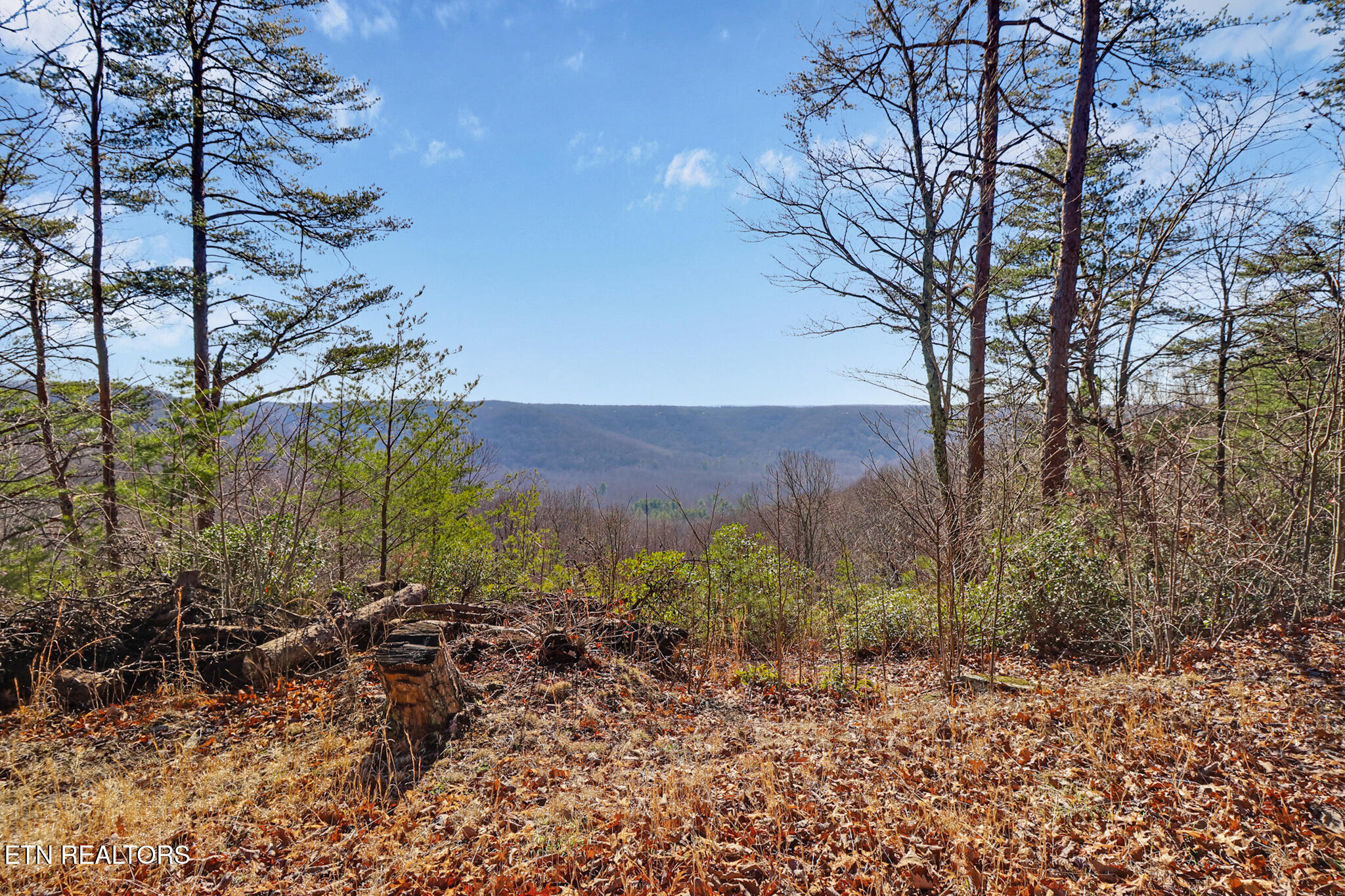 1309 Wind Rush Way Monterey, TN 38574 - Photo 1 of 23 if1a8314-if1a8318