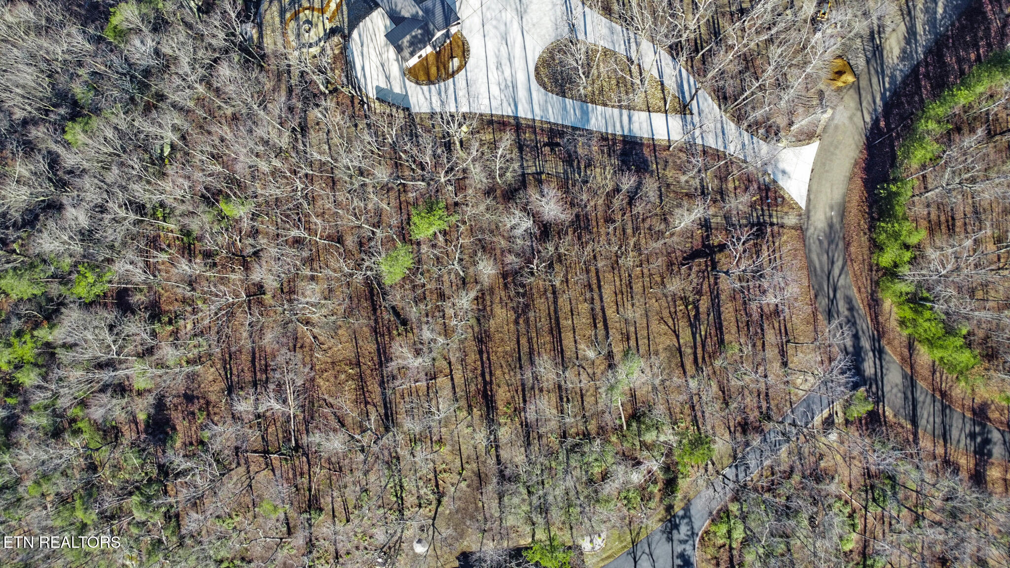 1309 Wind Rush Way Monterey, TN 38574 - Photo 13 of 23 dji_0071-dji_0073