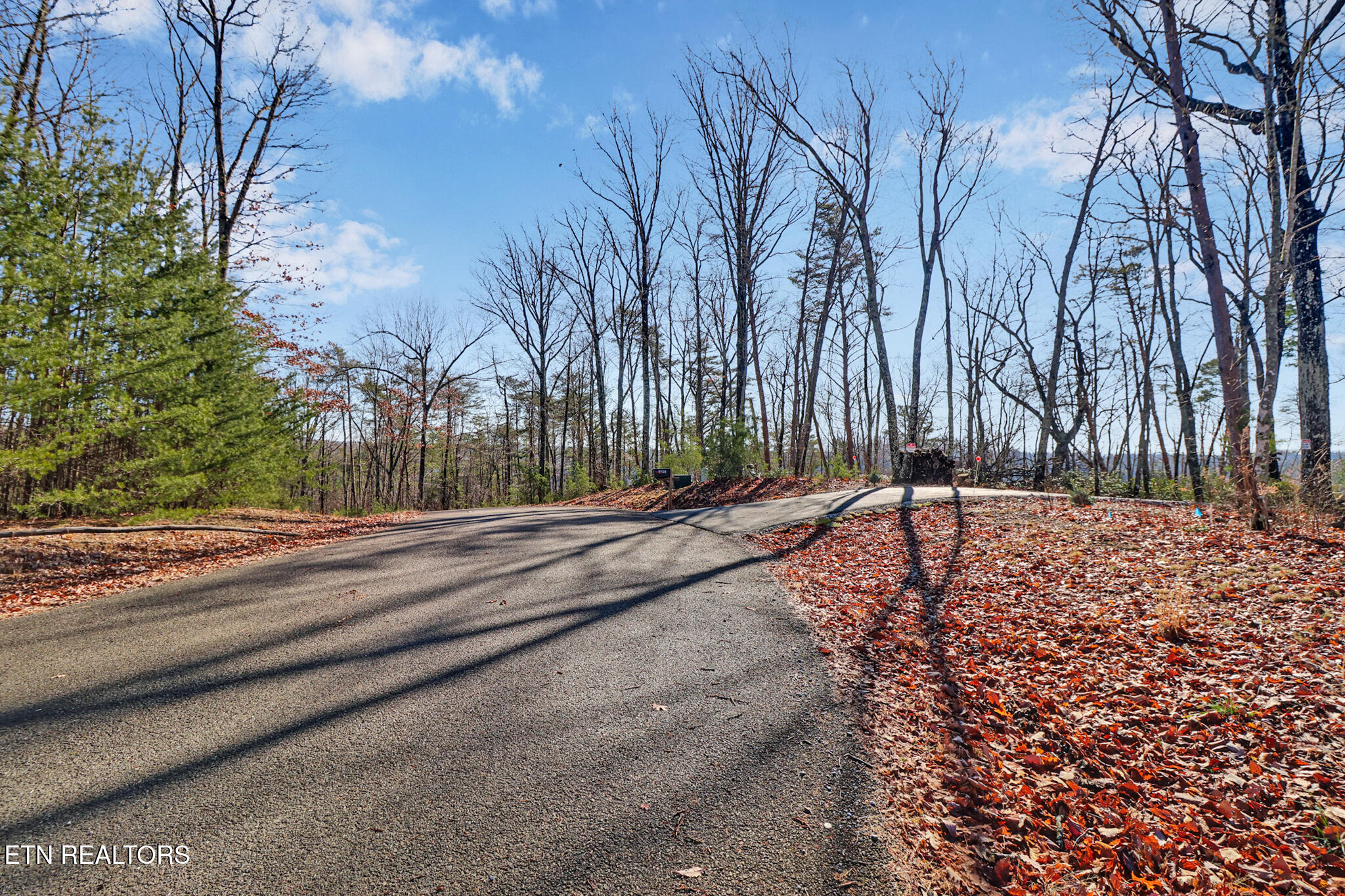 1309 Wind Rush Way Monterey, TN 38574 - Photo 2 of 23 if1a8299-if1a8303