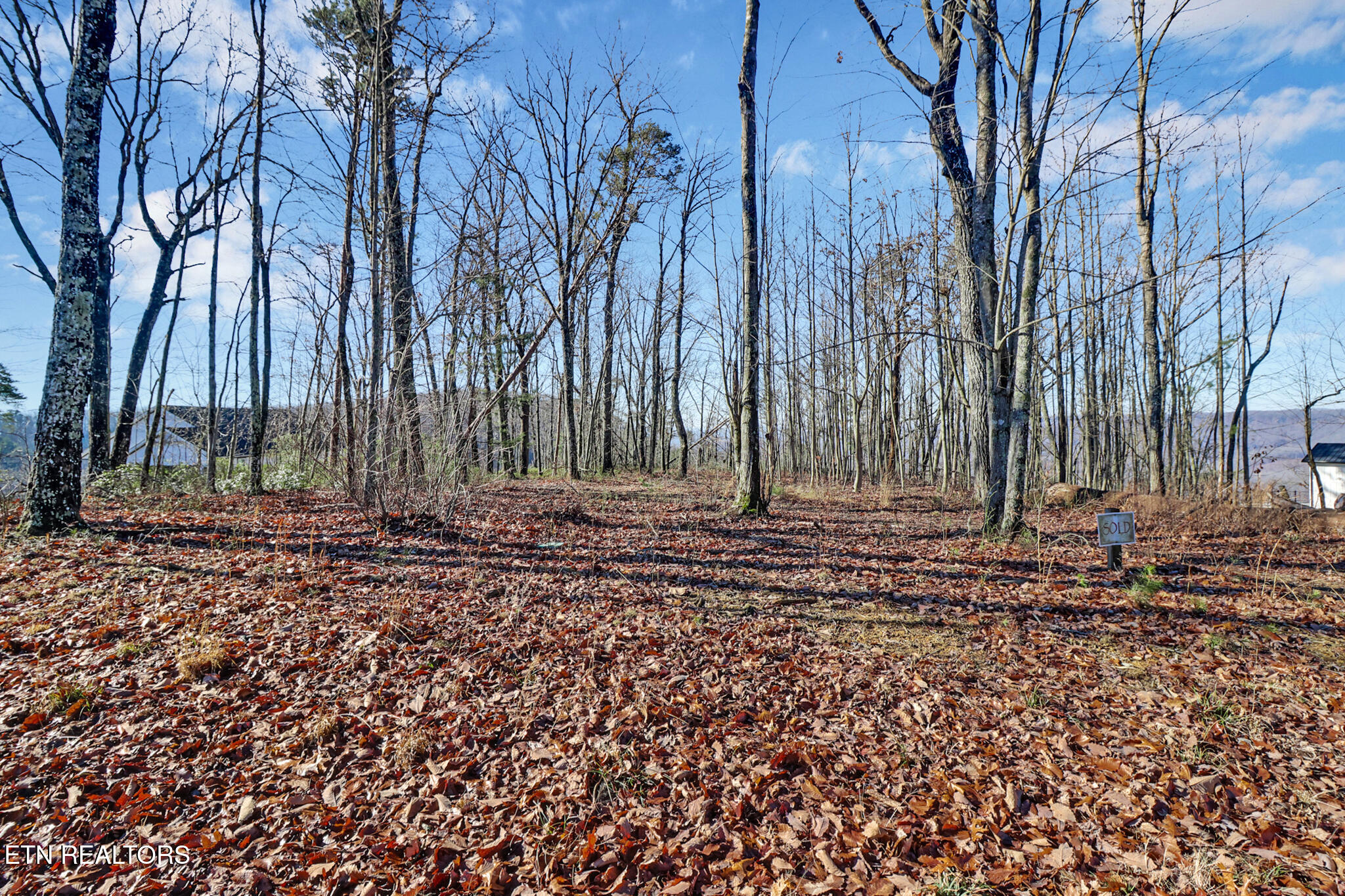 1309 Wind Rush Way Monterey, TN 38574 - Photo 3 of 23 if1a8274-if1a8278