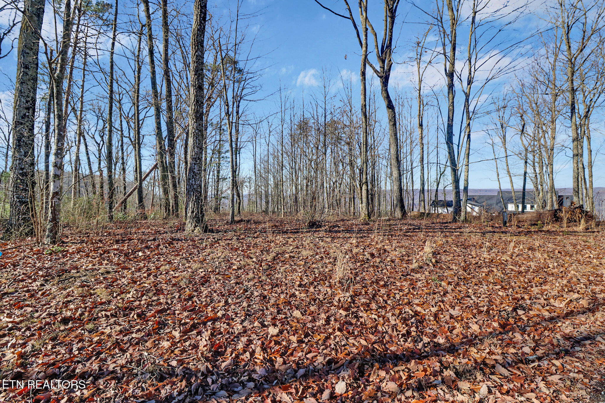 1309 Wind Rush Way Monterey, TN 38574 - Photo 7 of 23 if1a8279-if1a8283