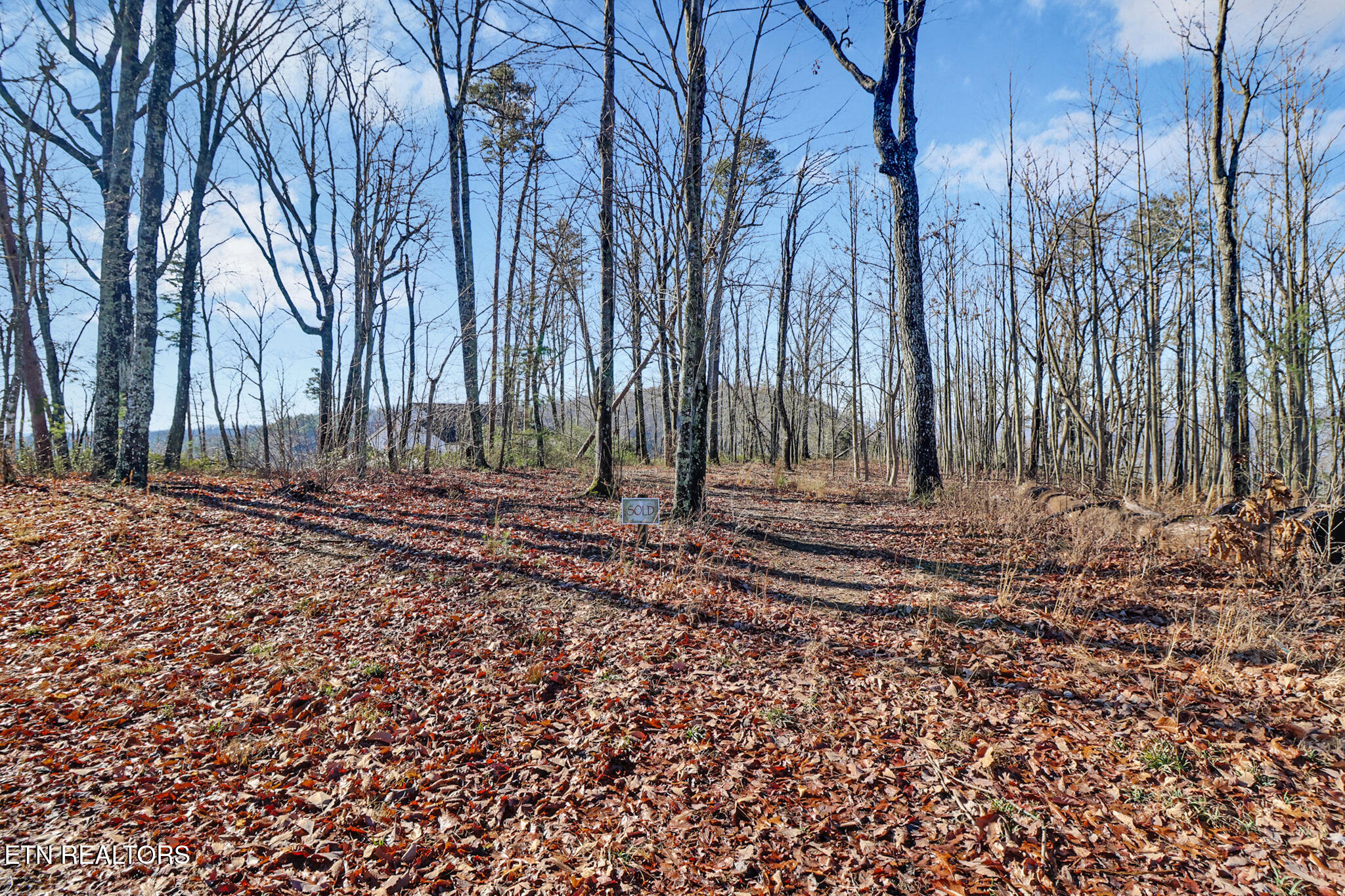 1309 Wind Rush Way Monterey, TN 38574 - Photo 8 of 23 if1a8284-if1a8288