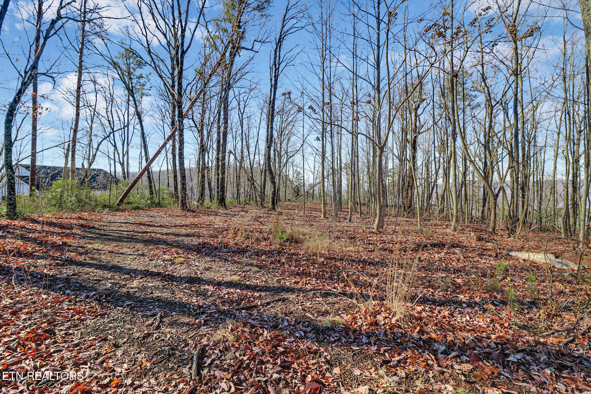 1309 Wind Rush Way Monterey, TN 38574 - Photo 9 of 23 if1a8289-if1a8293