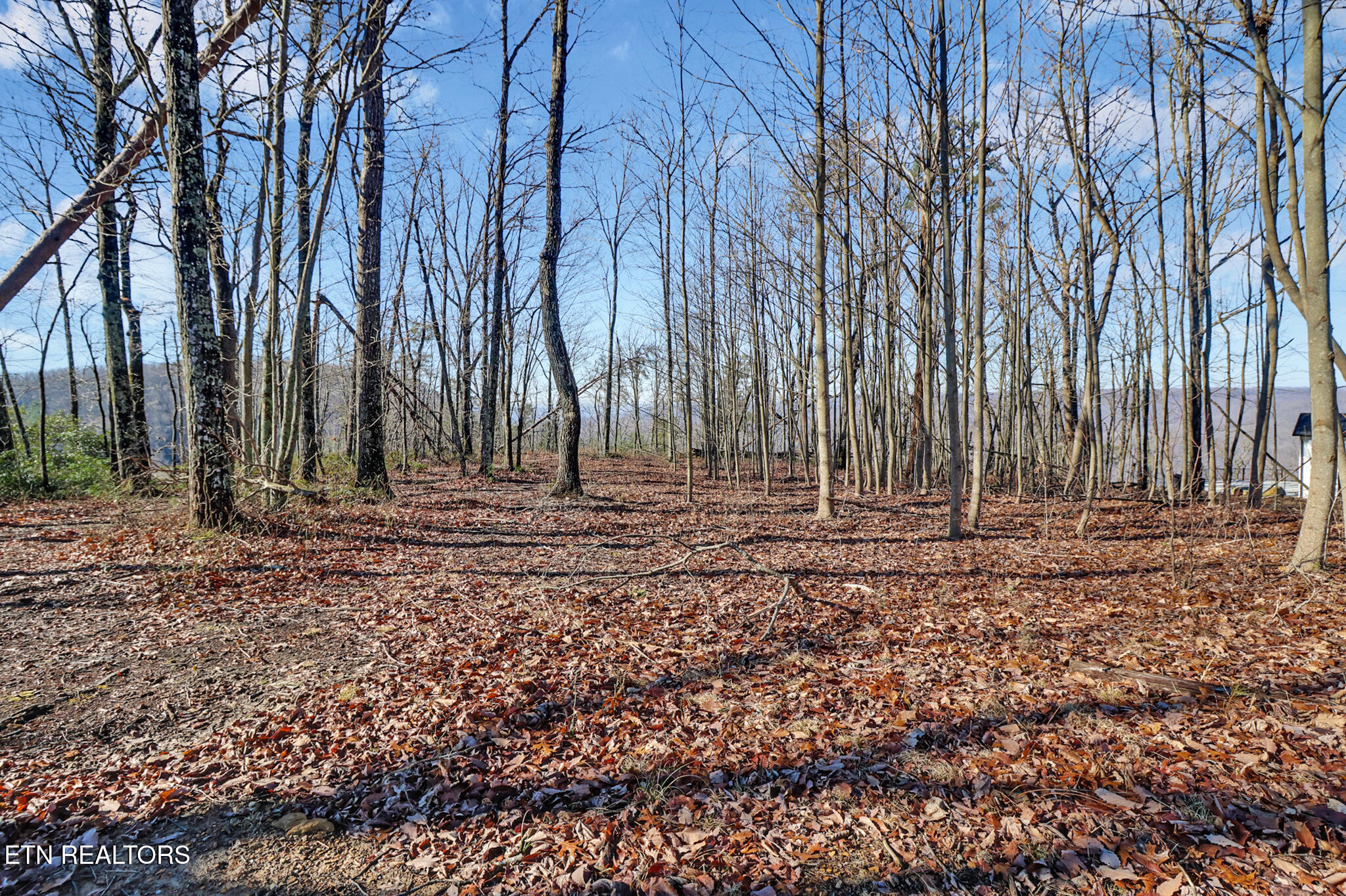 1309 Wind Rush Way Monterey, TN 38574 - Photo 10 of 23 if1a8294-if1a8298