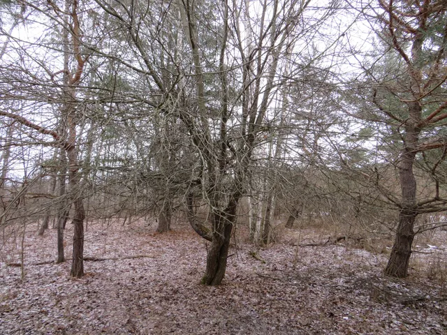 $79,000 | Jefferson Road, Morley, MI 49336