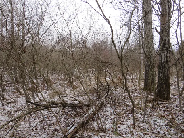 $79,000 | Jefferson Road, Morley, MI 49336